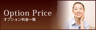Option Priceオプション料金一覧