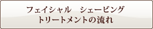 フェイシャル シェービング トリートメントの流れ