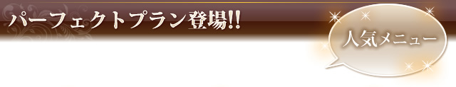 パーフェクトプラン登場!! 人気メニュー